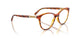 1508 - Brown