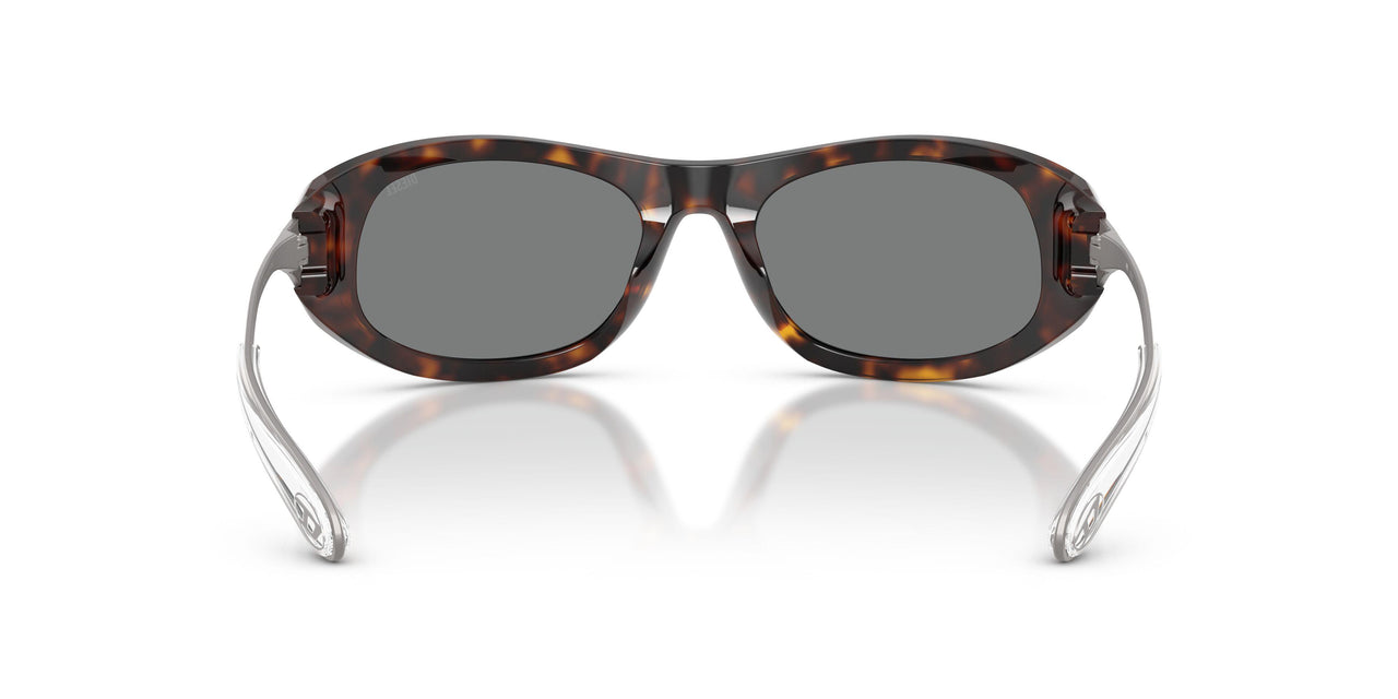 200387 - Tortoise - Dark Grey