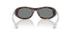 200387 - Tortoise - Dark Grey