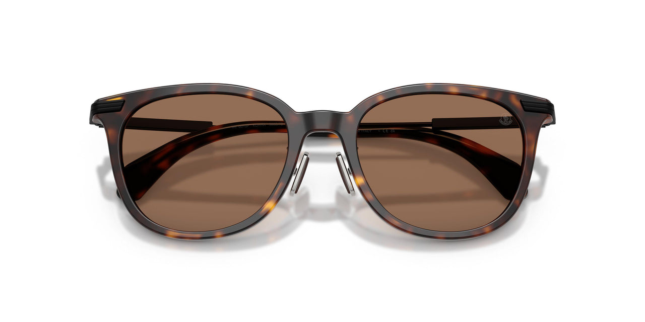 300273 - Tortoise - Solid Brown