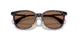 300273 - Tortoise - Solid Brown