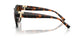 80153B - Tortoise - Brown Gradient