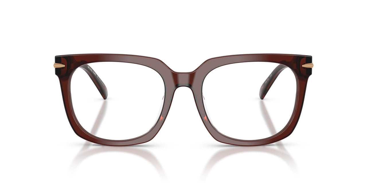 3401 - Brown