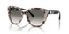 605811 - Brown - Gradient Grey