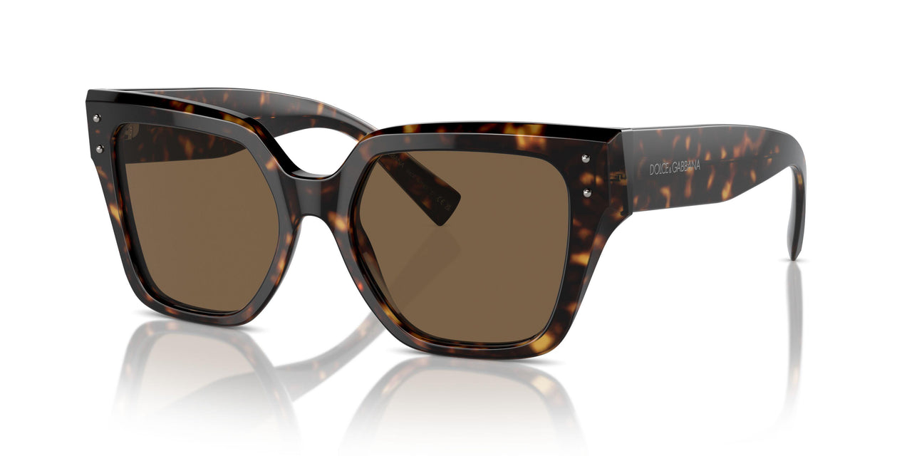 502/73 - Tortoise - Dark Brown