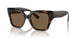 502/73 - Tortoise - Dark Brown