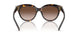 201613 - Tortoise - Brown Gradient