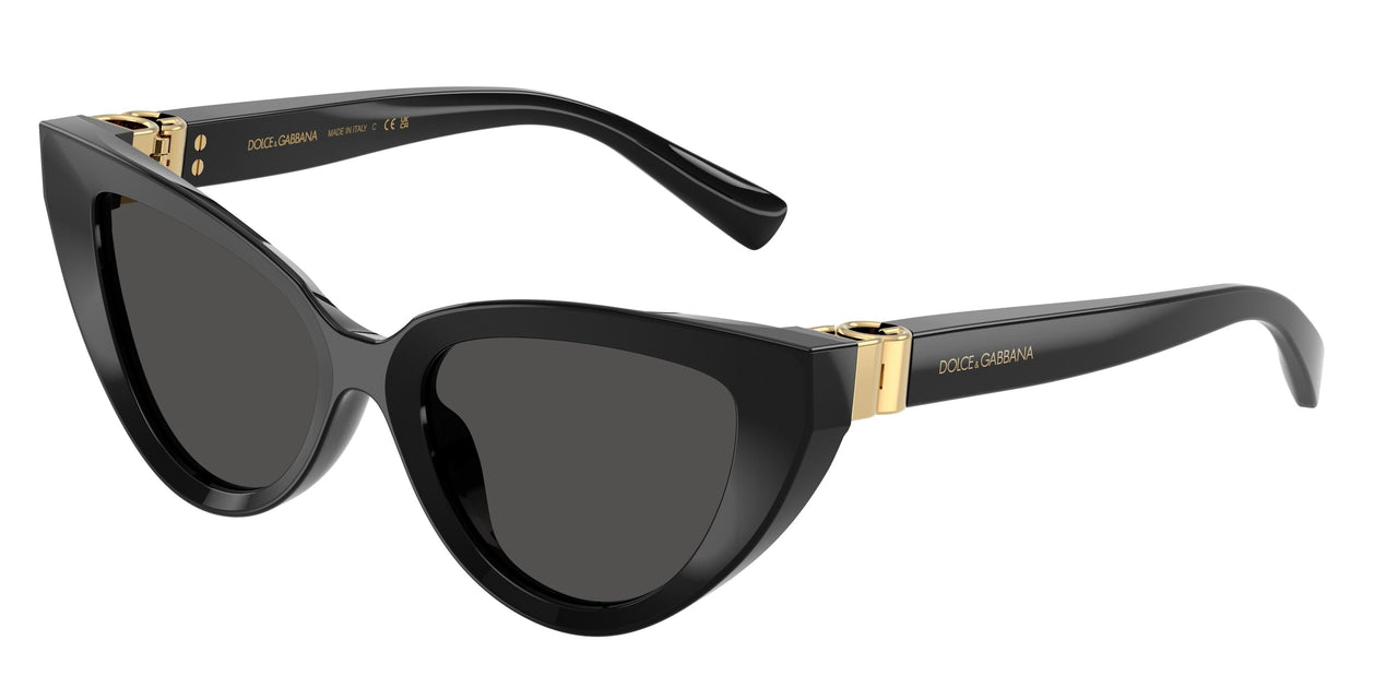 Dolce & Gabbana 4497 Sunglasses
