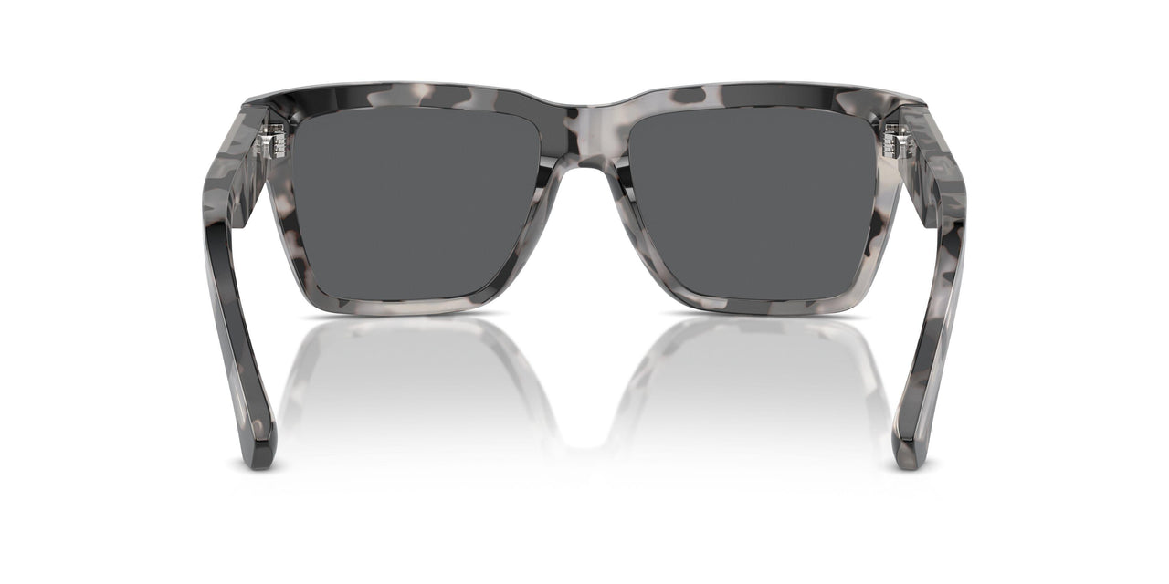 343587 - Tortoise - Dark Grey
