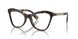 3002 - Brown