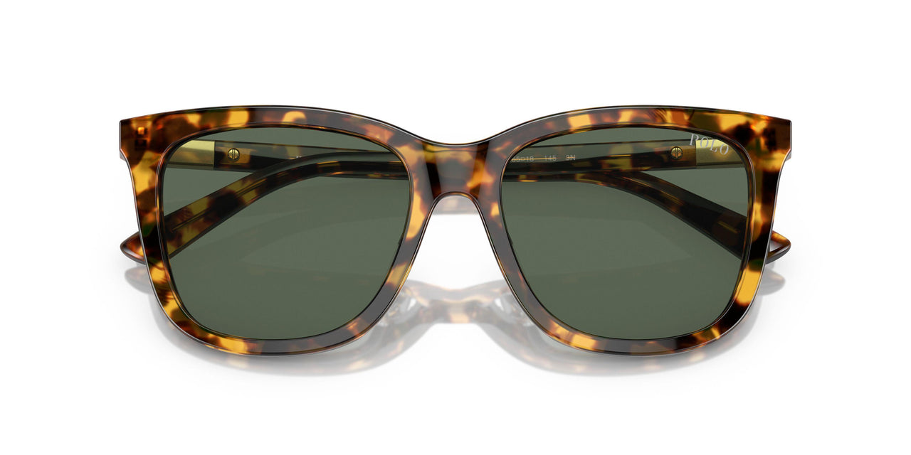 607871 - Tortoise - Dark Green