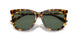 607871 - Tortoise - Dark Green