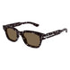 002 - Havana - Brown