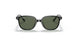100/71 - Black - Dark Green