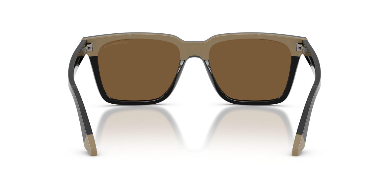 631373 - Black - Brown