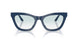 63253F - Blue - Clear Gradient Blue