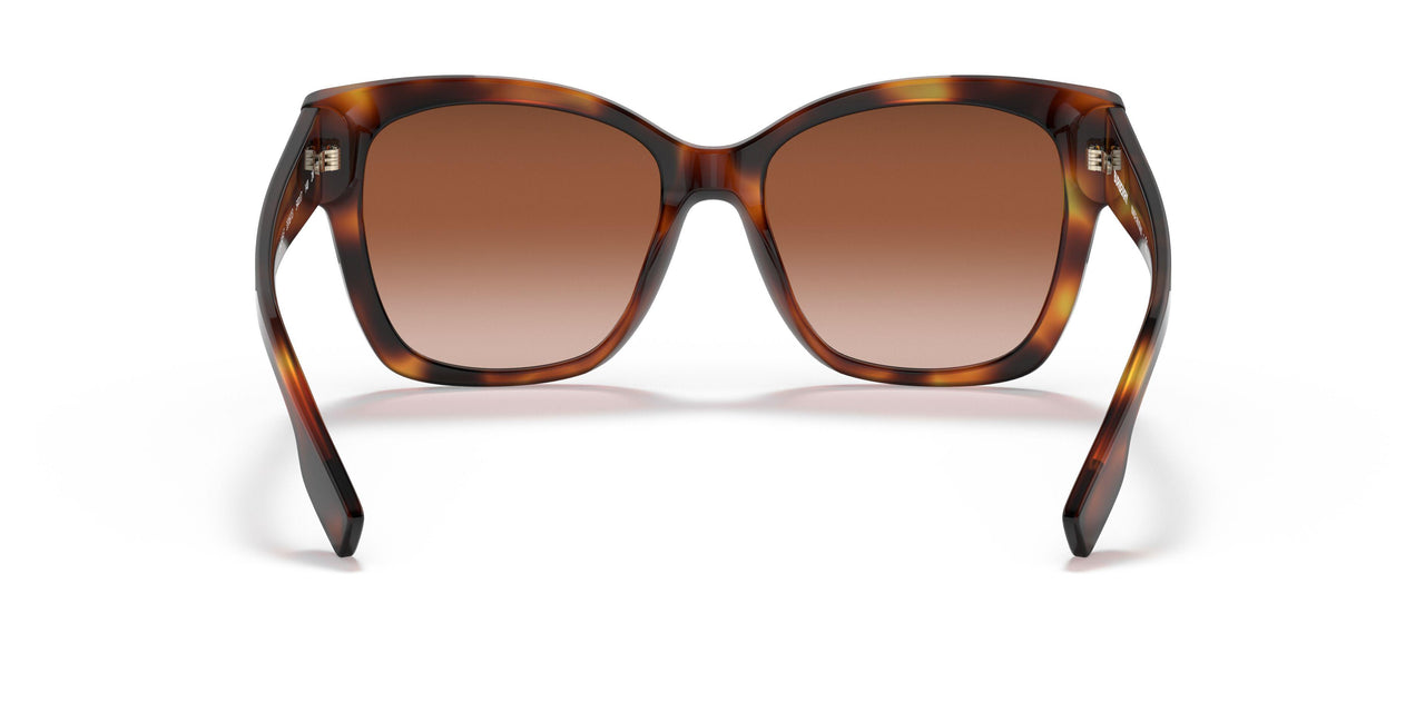 331613 - Havana - Brown Gradient