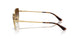 280/13 - Gold - Gradient Dark Brown