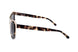 485 - STRIPED AZURE BROWN
