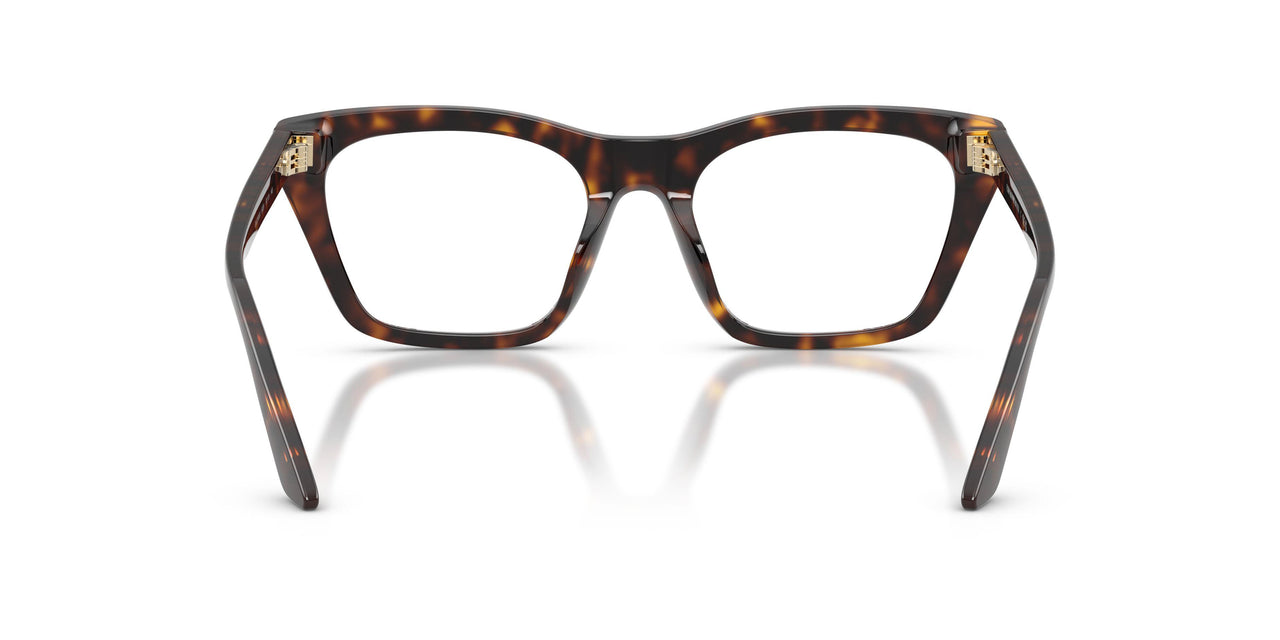 5026 - Tortoise