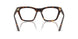 5026 - Tortoise