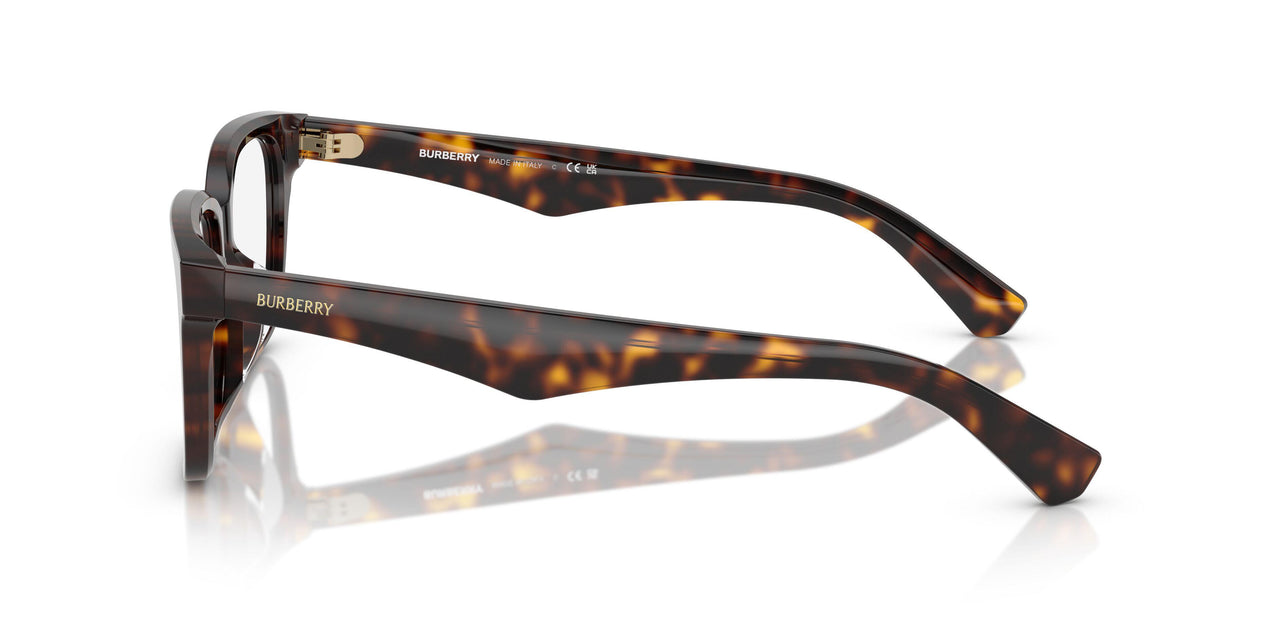 3002 - Brown