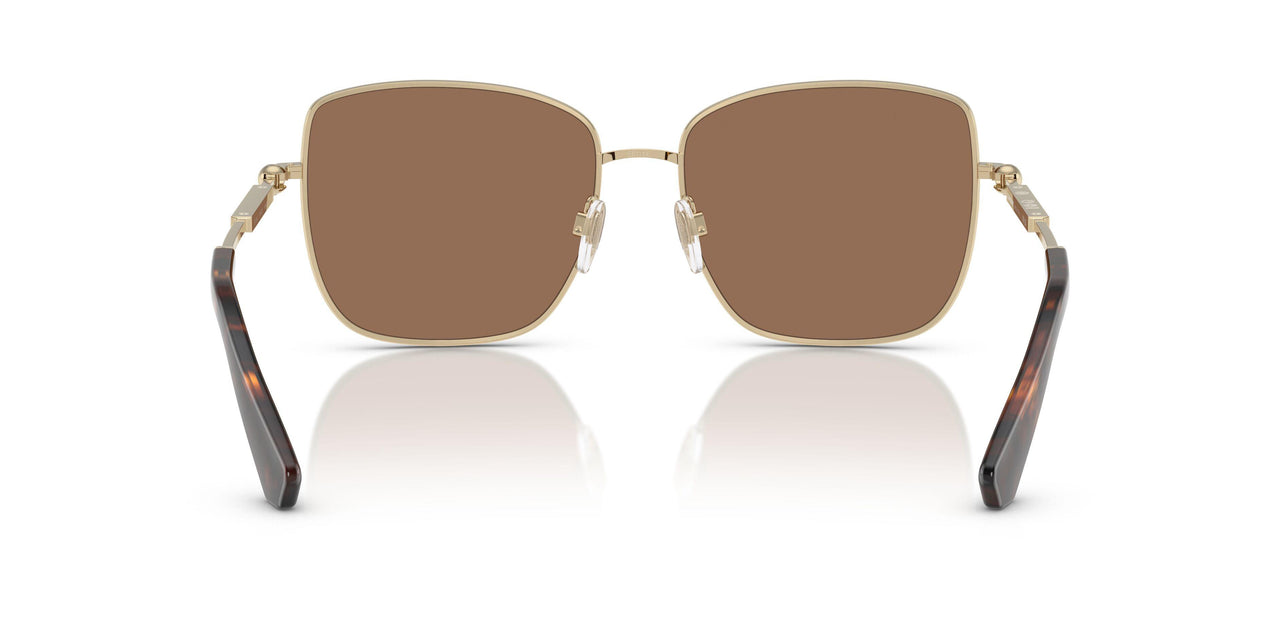 110973 - Gold - Dark Brown