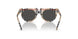 377887 - Brown - Dark Grey