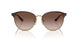 507813 - Brown - Brown Gradient