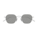 002 - Silver - Grey