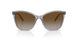 3099T5 - Grey - Grey Gradient Brown Polar