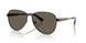 1891/3 - Brown - Chocolate Solid