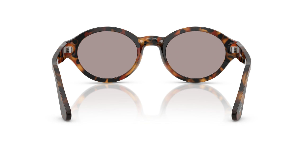 105253 - Tortoise - Violet