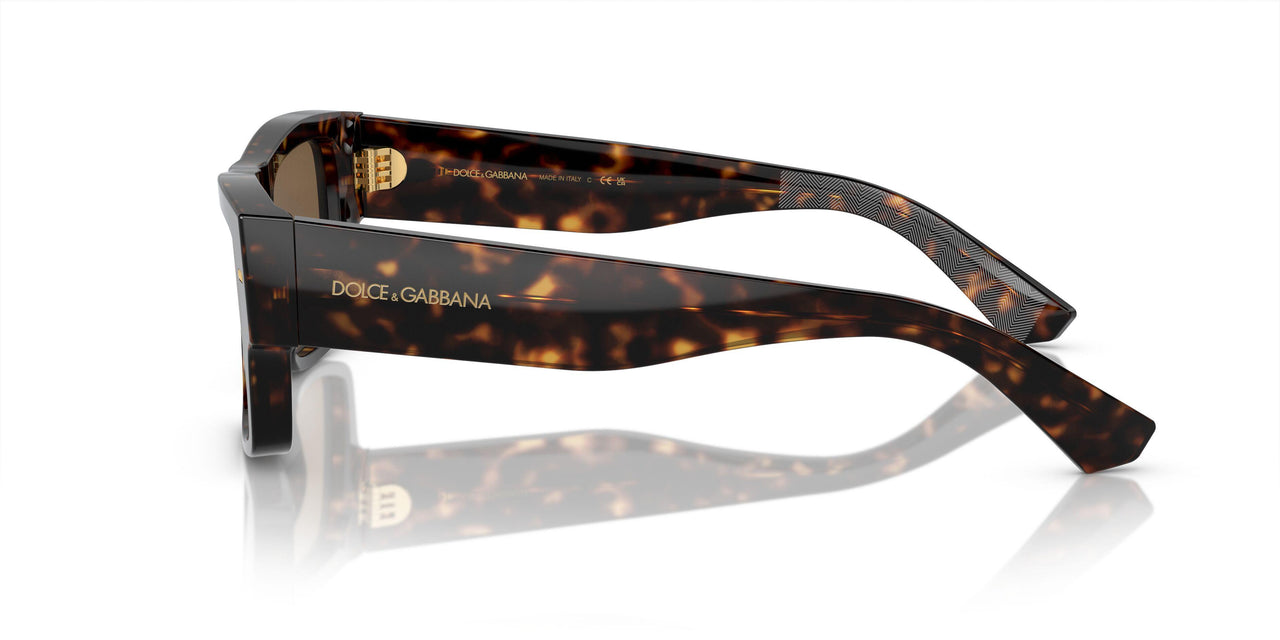 502/73 - Tortoise - Dark Brown