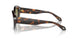 599314 - Tortoise - Green