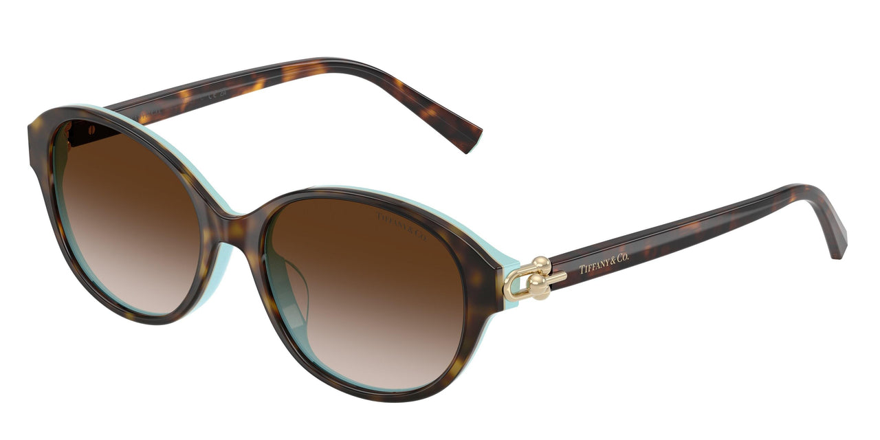 81343B - Brown - Brown Gradient