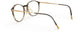 6031 - brown