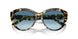 500419 - Tortoise - Gradient Blue