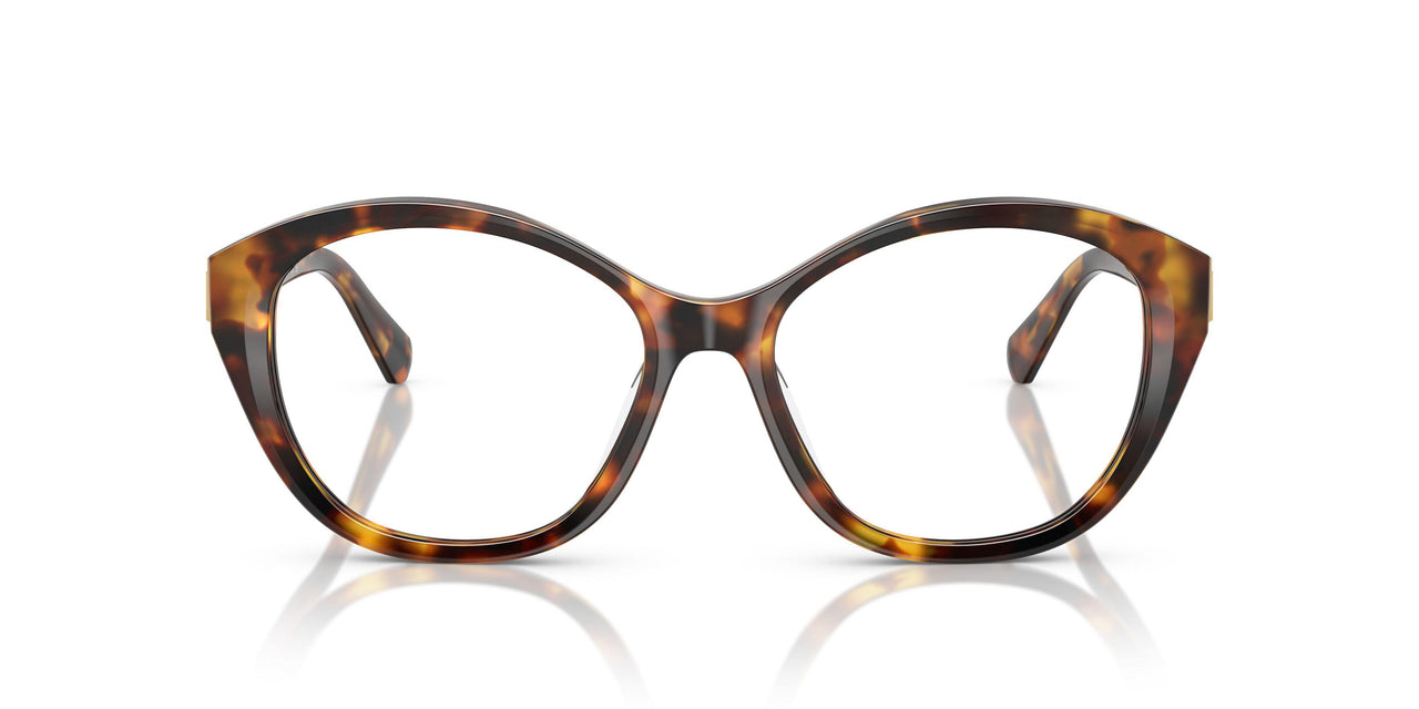 5134 - Tortoise