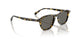 1778R5 - Tortoise - Carbon Grey