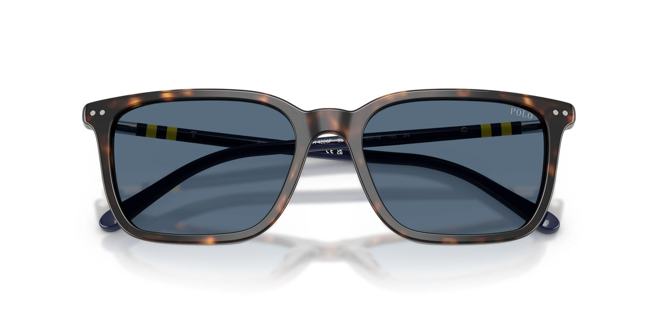500380 - Tortoise - Dark Blue