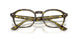 8487 - Tortoise - Clear