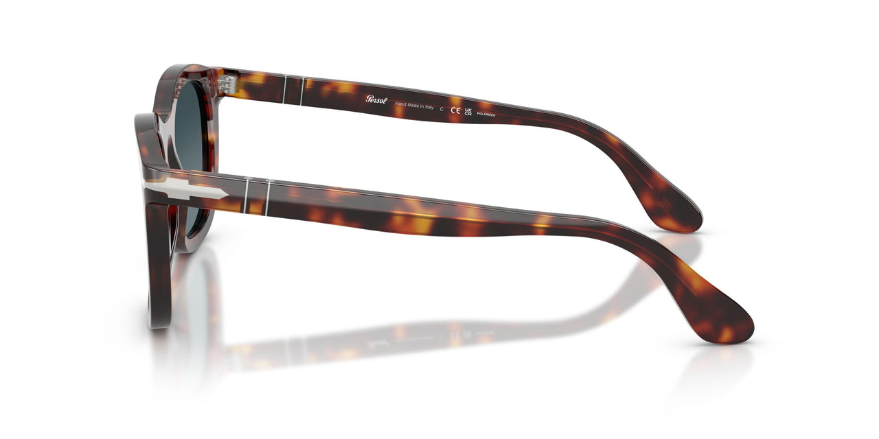 24/S3 - Tortoise - Light Blue Gradient Dark Blue