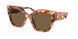 200073 - Red - Dark Brown