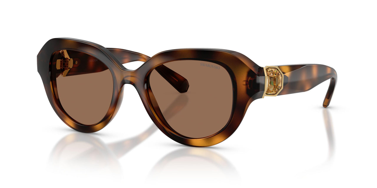 100273 - Tortoise - Dark Brown