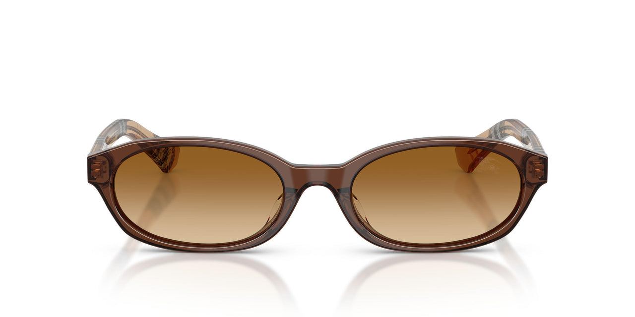 424313 - Brown - Brown Gradient