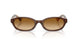424313 - Brown - Brown Gradient