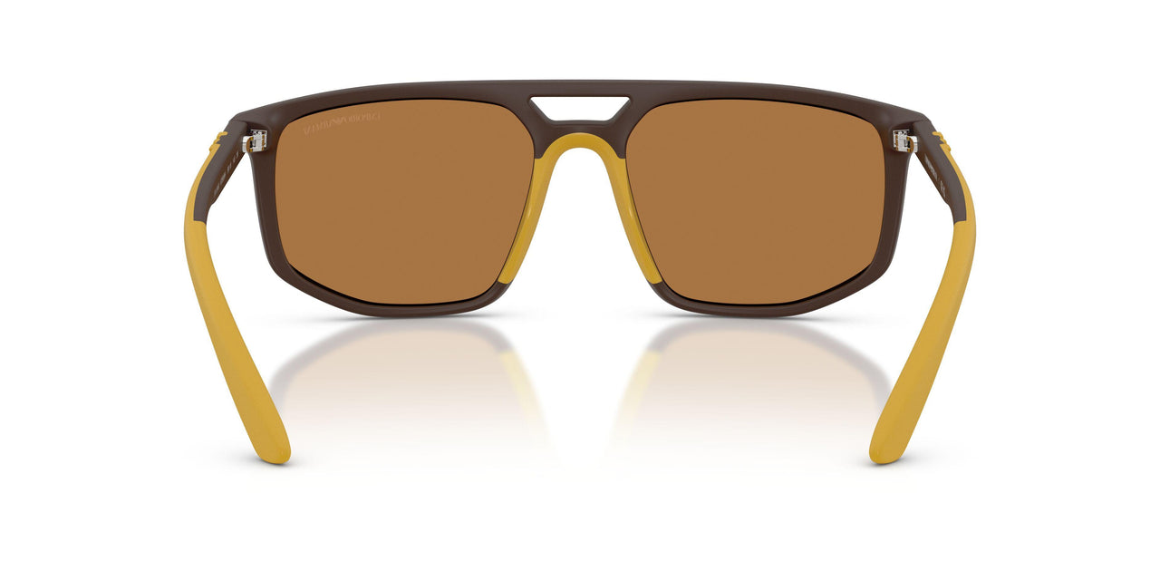 62586H - Brown - Brown Mirror Gold