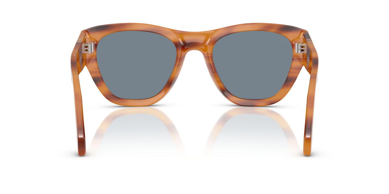 960/56 - Tortoise - Light Blue