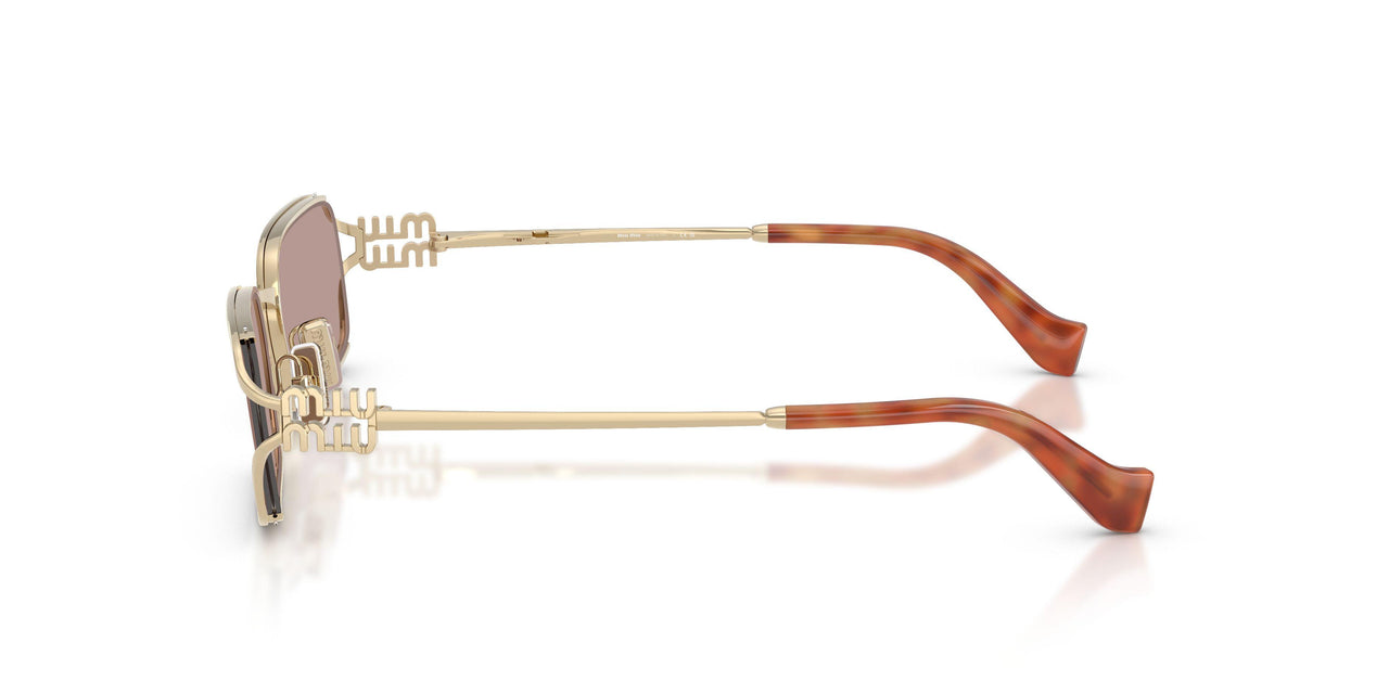 ZVN20I - Gold - Light Purple Brown